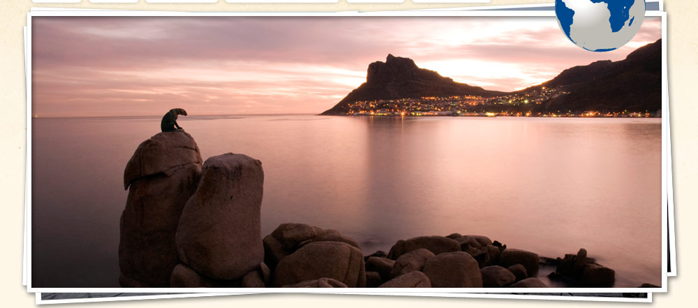Peninsula Tours