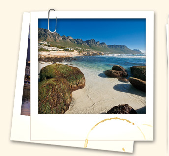 Peninsula Tours